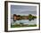 Small Island in Hardangerfjorden Nr Bergen, Western Fjords, Norway-Peter Adams-Framed Photographic Print