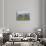 Small Island in Hardangerfjorden Nr Bergen, Western Fjords, Norway-Peter Adams-Photographic Print displayed on a wall