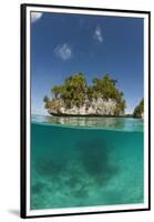 Small Island off Palau, Micronesia-Reinhard Dirscherl-Framed Premium Photographic Print