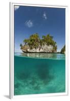 Small Island off Palau, Micronesia-Reinhard Dirscherl-Framed Premium Photographic Print