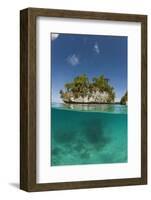 Small Island off Palau, Micronesia-Reinhard Dirscherl-Framed Photographic Print