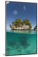 Small Island off Palau, Micronesia-Reinhard Dirscherl-Mounted Photographic Print