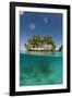 Small Island off Palau, Micronesia-Reinhard Dirscherl-Framed Photographic Print