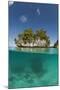 Small Island off Palau, Micronesia-Reinhard Dirscherl-Mounted Photographic Print