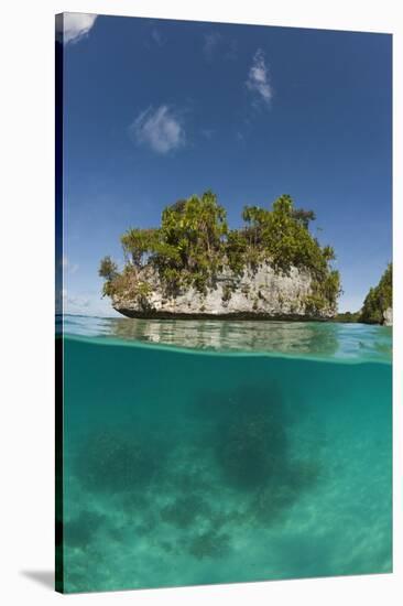 Small Island off Palau, Micronesia-Reinhard Dirscherl-Stretched Canvas