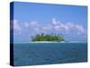 Small Island, Tahiti, French Polynesia, Oceania-Bill Bachmann-Stretched Canvas