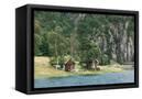 Canvas Black