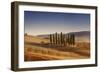 Small Isle of Cypress Trees in a Field in the Evening, Tuscany, Italy-null-Framed Photographic Print