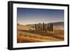 Small Isle of Cypress Trees in a Field in the Evening, Tuscany, Italy-null-Framed Photographic Print