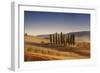 Small Isle of Cypress Trees in a Field in the Evening, Tuscany, Italy-null-Framed Photographic Print