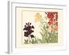 Small Japanese Flower Garden I-Konan Tanigami-Framed Art Print