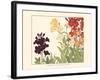 Small Japanese Flower Garden I-Konan Tanigami-Framed Art Print