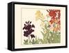 Small Japanese Flower Garden I-Konan Tanigami-Framed Stretched Canvas