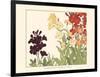 Small Japanese Flower Garden I-Konan Tanigami-Framed Art Print