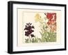 Small Japanese Flower Garden I-Konan Tanigami-Framed Art Print