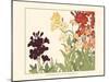 Small Japanese Flower Garden I-Konan Tanigami-Mounted Art Print