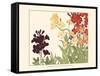 Small Japanese Flower Garden I-Konan Tanigami-Framed Stretched Canvas