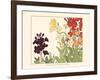 Small Japanese Flower Garden I-Konan Tanigami-Framed Art Print