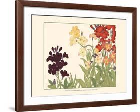 Small Japanese Flower Garden I-Konan Tanigami-Framed Art Print