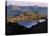 Small Lake with Cadair Idris Range Behind, Snowdonia National Park, Gwynedd, UK-Duncan Maxwell-Stretched Canvas