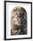 Small Last Judgement-Peter Paul Rubens-Framed Art Print