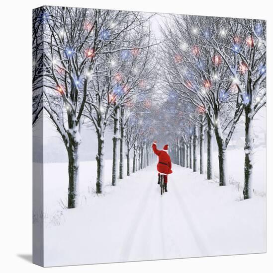 Small-Leaved Lime Trees in Snow-Ake Lindau-Stretched Canvas