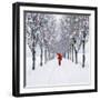 Small-Leaved Lime Trees in Snow-Ake Lindau-Framed Photographic Print