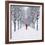 Small-Leaved Lime Trees in Snow-Ake Lindau-Framed Photographic Print