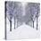 Small-Leaved Lime Trees in Winter Snow-Ake Lindau-Stretched Canvas