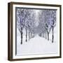 Small-Leaved Lime Trees in Winter Snow-Ake Lindau-Framed Photographic Print