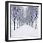 Small-Leaved Lime Trees in Winter Snow-Ake Lindau-Framed Photographic Print