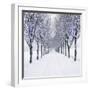 Small-Leaved Lime Trees in Winter Snow-Ake Lindau-Framed Photographic Print