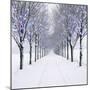 Small-Leaved Lime Trees in Winter Snow-Ake Lindau-Mounted Photographic Print