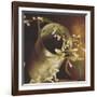 Small Lights on Vintage Jug-Tim Kahane-Framed Photographic Print