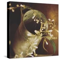 Small Lights on Vintage Jug-Tim Kahane-Stretched Canvas