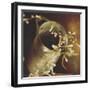 Small Lights on Vintage Jug-Tim Kahane-Framed Photographic Print