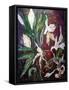 Small Lily wilt-jocasta shakespeare-Framed Stretched Canvas
