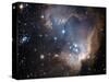 Small Magellanic Cloud-Stocktrek Images-Stretched Canvas