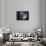 Small Magellanic Cloud-Stocktrek Images-Stretched Canvas displayed on a wall