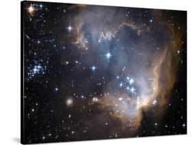 Small Magellanic Cloud-Stocktrek Images-Stretched Canvas