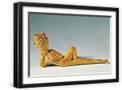 Black Frame