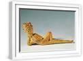 White Frame