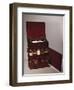 Small Medical Chest with Double-Sided Drawers Filled with Bottles, Mahogany, England, Circa 1800s-null-Framed Giclee Print