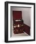 Small Medical Chest with Double-Sided Drawers Filled with Bottles, Mahogany, England, Circa 1800s-null-Framed Giclee Print