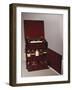 Small Medical Chest with Double-Sided Drawers Filled with Bottles, Mahogany, England, Circa 1800s-null-Framed Giclee Print