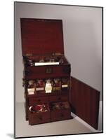 Small Medical Chest with Double-Sided Drawers Filled with Bottles, Mahogany, England, Circa 1800s-null-Mounted Giclee Print