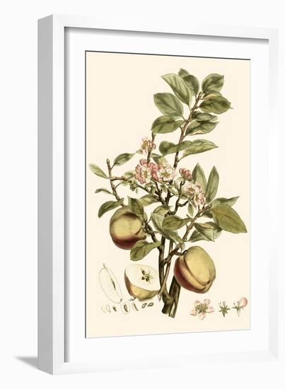 Small Miller's Bounty II-John Miller-Framed Art Print