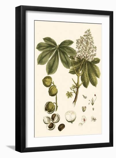 Small Miller's Bounty V-John Miller-Framed Art Print