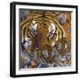 Small-Mothercubs-Graeme Stevenson-Framed Giclee Print