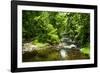 Small Mountain Stream I-Alan Hausenflock-Framed Photographic Print